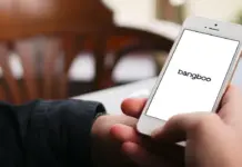 Bangboo Bangboo logo