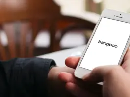Bangboo Bangboo logo