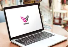 Birdman logo
