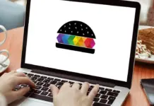 PaneandDesign logo