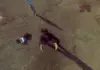 panono