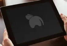 Flyphant Flyphant logo