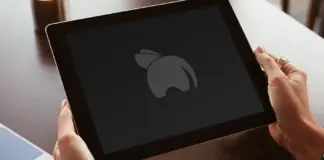 Flyphant Flyphant logo