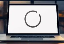 Best UX Design Agency in Austria – Loop Office Branding and Workspace