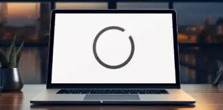 Loop Best UX Design Agency in Austria – Loop Office Branding and Workspace