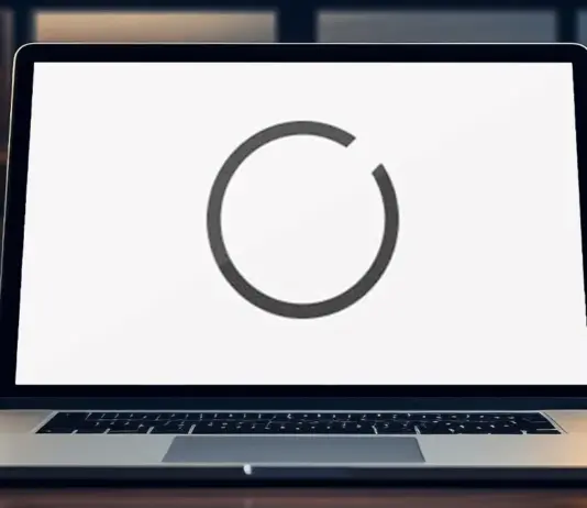 Best UX Design Agency in Austria – Loop Office Branding and Workspace