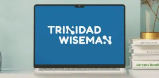 Trinidad Wiseman UX agency logo for digital transformation and service design in Estonia