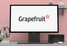 Grapefruit Grapefruit UX design agency in Romania – user experience and digital strategy experts