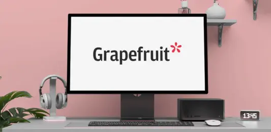 Grapefruit UX design agency in Romania – user experience and digital strategy experts