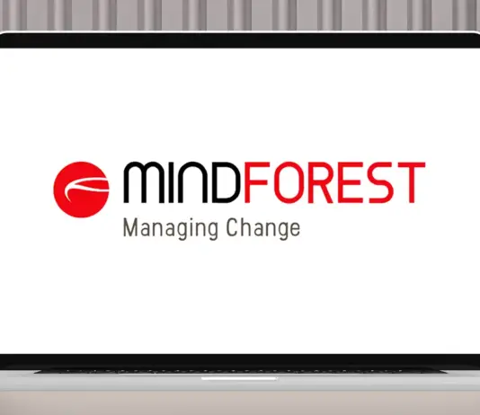 MindForest UX agency in Luxembourg – expert in user experience design and business transformation.