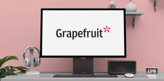 Grapefruit UX design agency in Romania – user experience and digital strategy experts