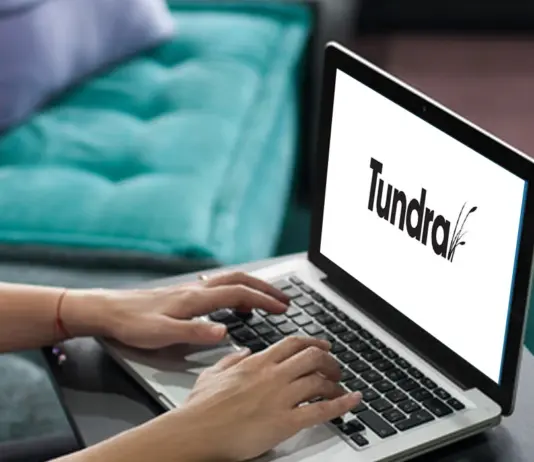 Tundra Interactive logo