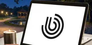 brightscout logo