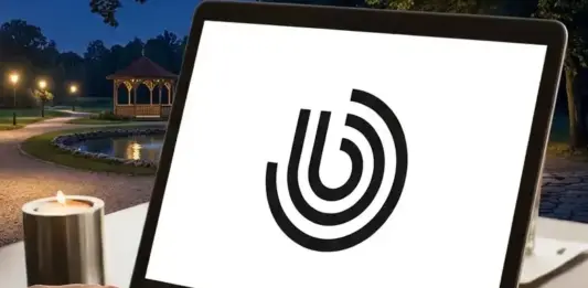 Brightscout brightscout logo